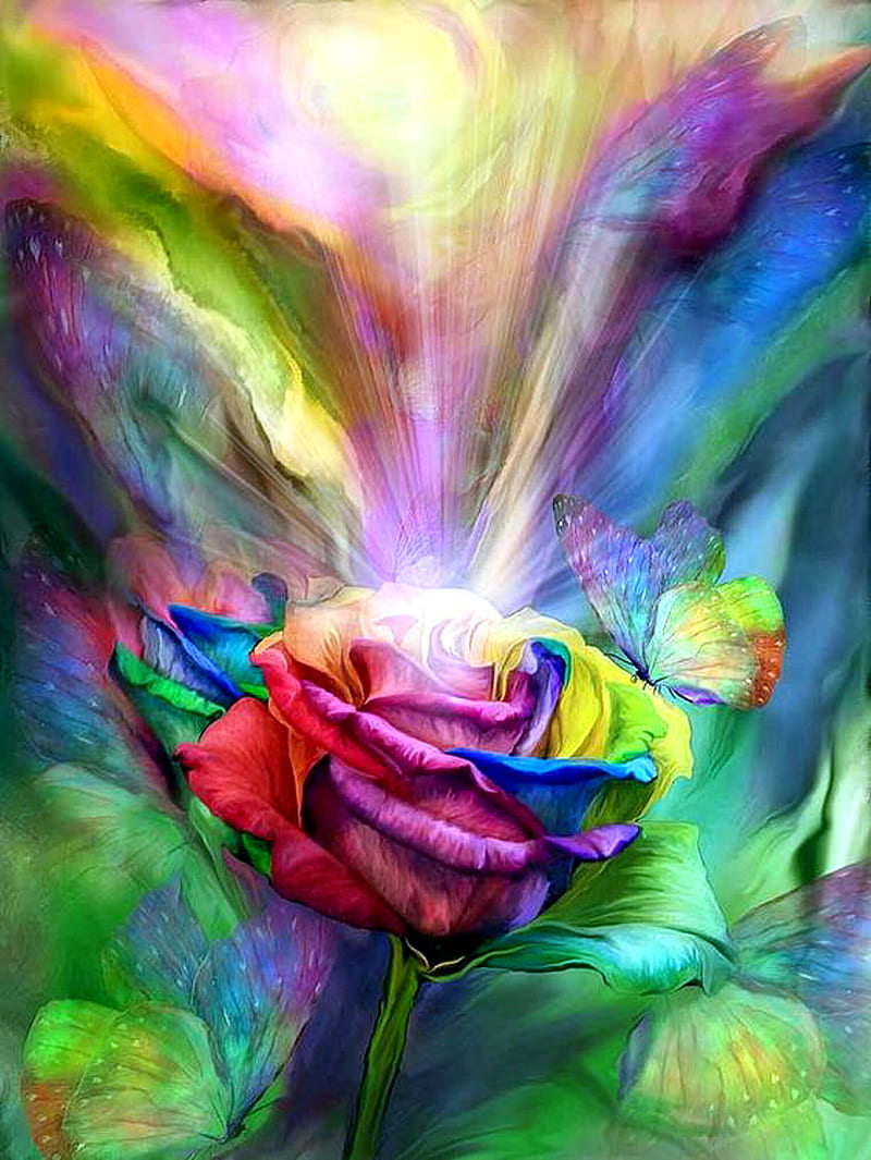 Rose Of Many Colours, bonito, butterfly, color, flowers, rainbow, HD phone wallpaper