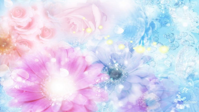 Flowers Softness, rose, summer, flowers, pastel, spring, soft, pink, blue, HD wallpaper