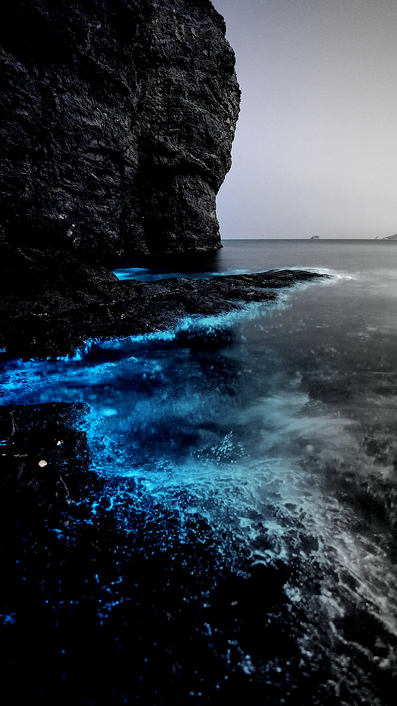 Sparkling Sea, beach, blue, deep, sea, sparkling, HD phone wallpaper