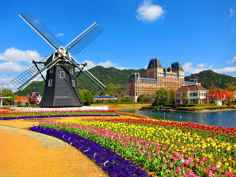 A windmill, pretty, colorful, windmill, shore, mill, travel, bonito, nice, calm, village, flowers, river, reflection, lovely, wind, town, spring, sky, lake, water, summer, nature, HD wallpaper