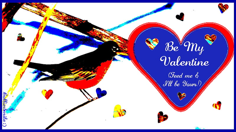 A Robin Valentine, Happy Valentines Day, robin, va1entine, bird, February 14, American robin, Holiday, corazones, funny, HD wallpaper