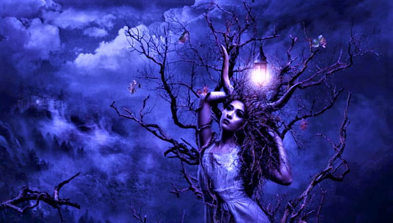 perennial evil, witch, tree, gothic, dark, HD wallpaper