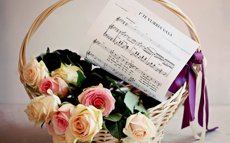 Divided of love, purple, basket, ribbon, love, roses, pink roses, divided music, HD wallpaper