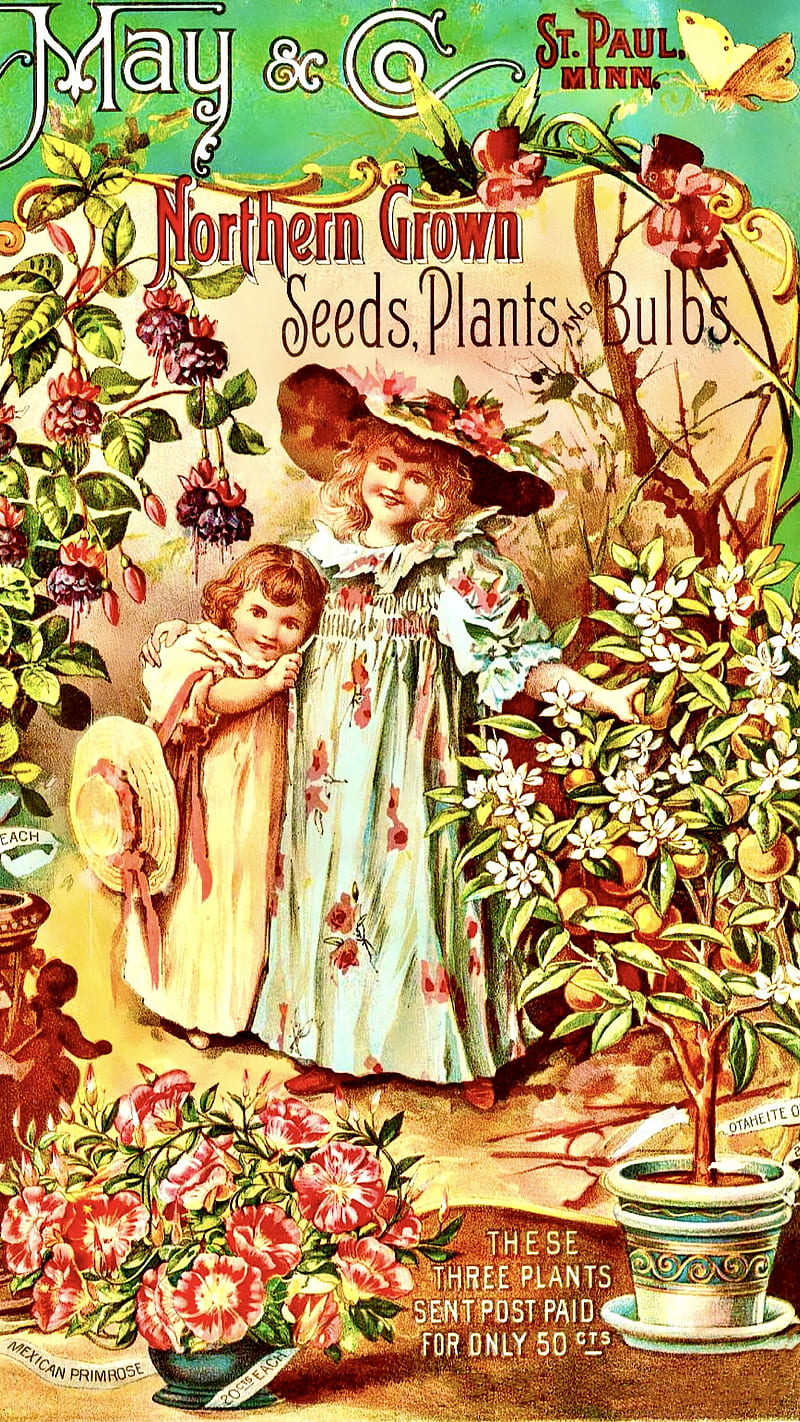 “Garden Cuties”, ColetteLrsn, Vintage , butterflies, children, cute , flower , garden, nature, plants, seed catalogs, summer, HD phone wallpaper