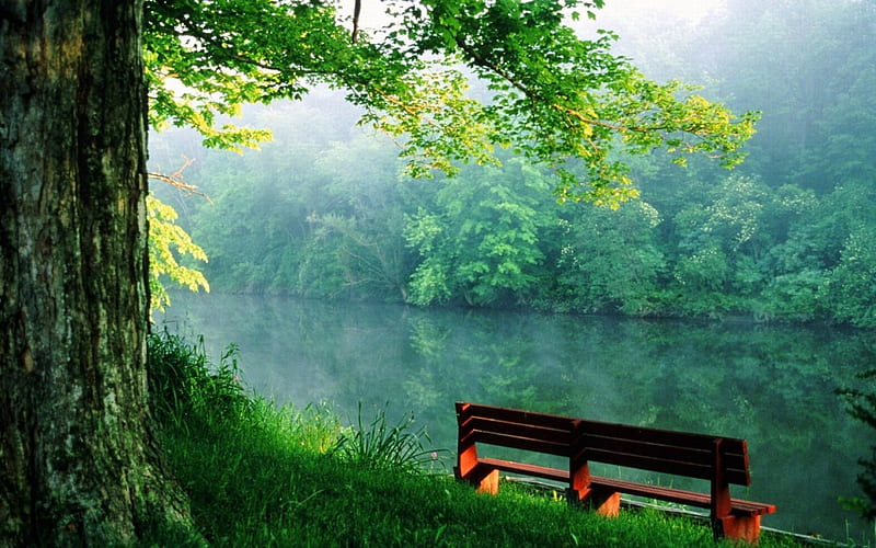 Beautiful Place, forest, relax, bonito, nature, lake, HD wallpaper