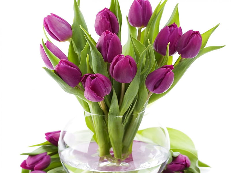 Purple tulips for my dreamer~sister, round bowl, fresh, bonito, spring, green, purple, bouquet, entertainment, love forever, tulips, fashion, crystal clear, HD wallpaper