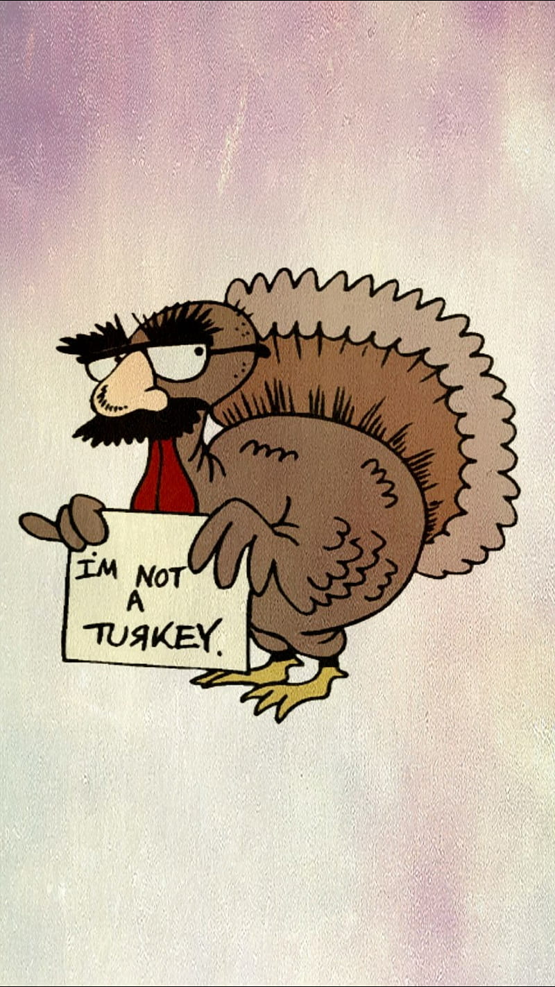 HD funny turkey wallpapers | Peakpx