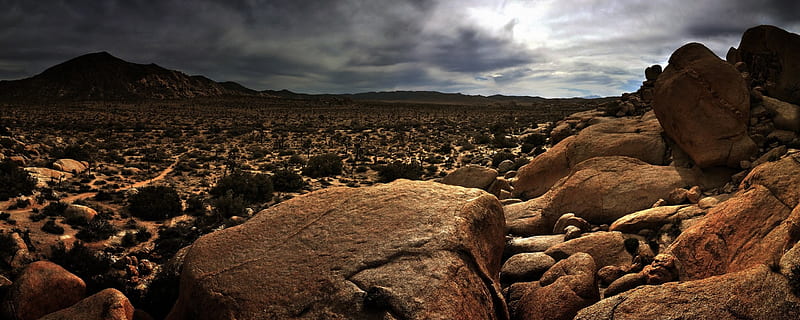 Mojave Desert, arid, deserts, dry, natural, HD wallpaper