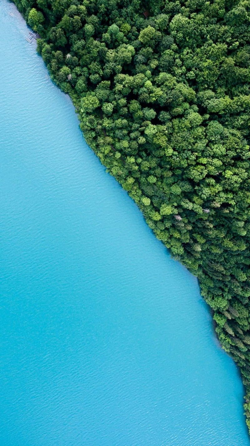 Selva, celeste, lago, sea, oceano, verde, HD phone wallpaper