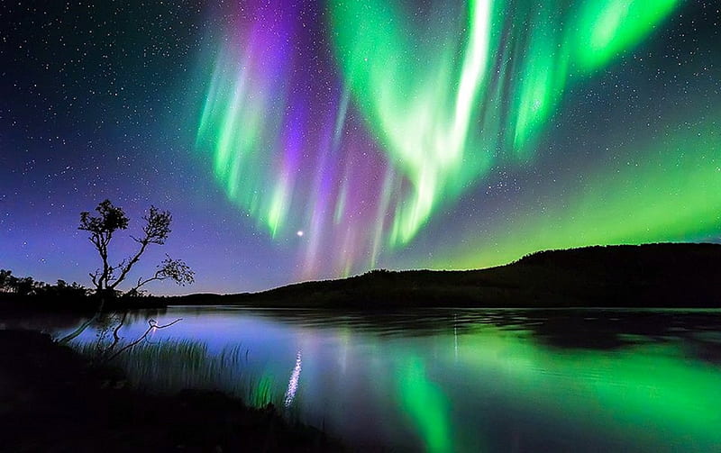 ★Phenomenon Aurora★, glow, stunning, panoramic view, attractions in dreams, bonito, graphy, scenery, light, rivers, aurora, love four seasons, marvelous, creative pre-made, sky, trees, weather, nature, phenomenon, reflections, HD wallpaper