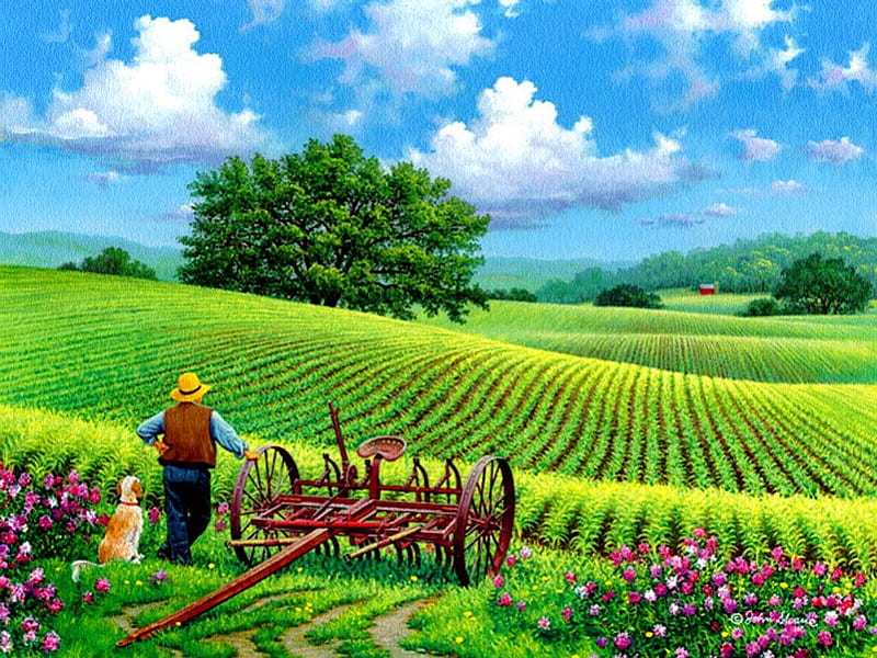 Watching it grow, colroful, grass, bonito, nice, watch, painting, flowers, art, grow, lovely, fresh, country, sky, trees, worker, meadow, field, HD wallpaper