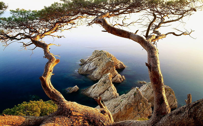 rocky shore-amazing natural scenery, HD wallpaper