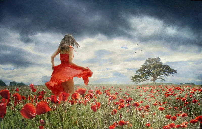 The dream in red, filed, tree, rose, love, flower, dream, sky, women ...