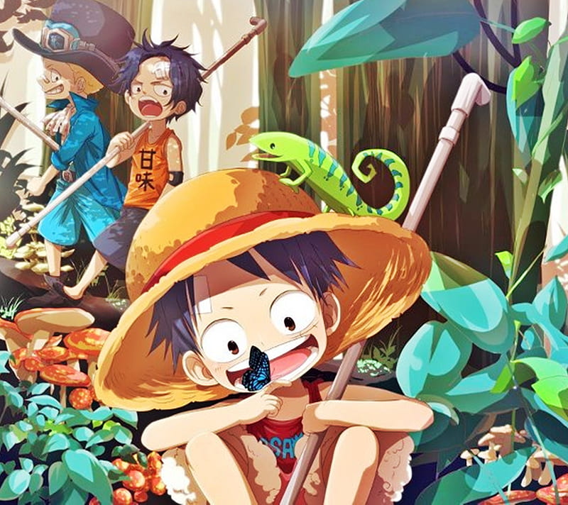 brothers to the end, ace, luffy, one piece, pirates, sabo, straw hat pirates, HD wallpaper