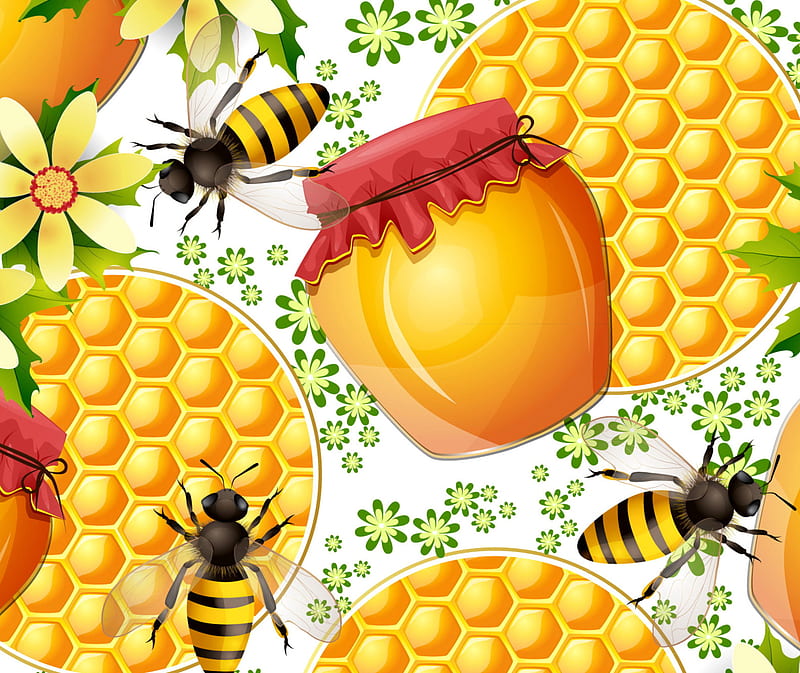 Honey Bee, other, HD wallpaper
