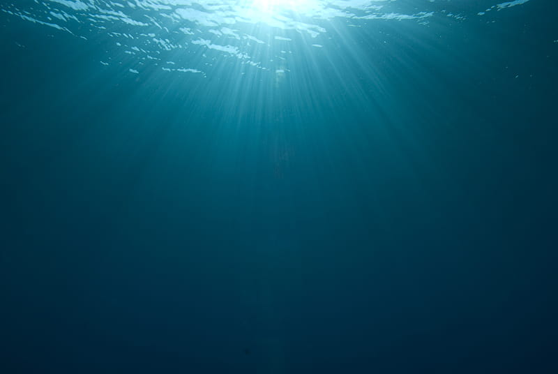 Under the ocean, Water, Sea, Sunbeams, Ocean, Below, HD wallpaper