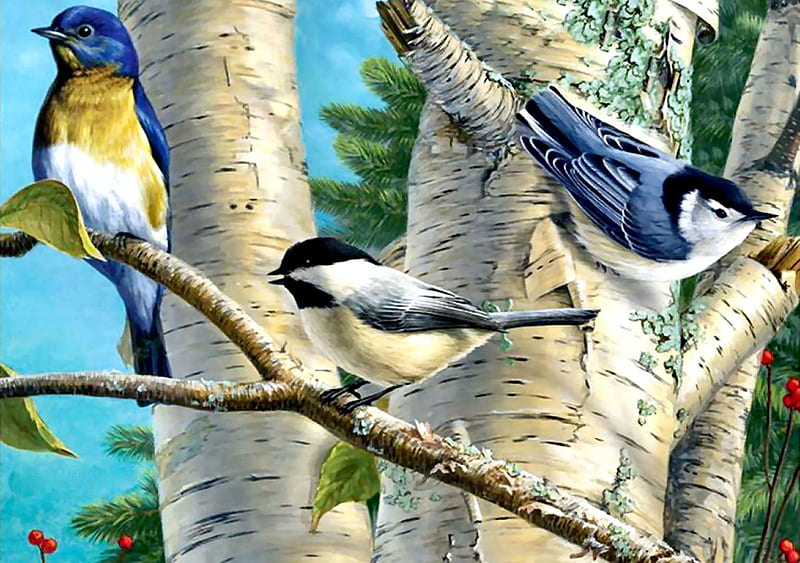Songbird Favorites FCmp, art, songbirds, bonito, illustration, artwork, bluebird, animal, nuthatch, bird, chickadee, avian, painting, wide screen, wildlife, nature, HD wallpaper