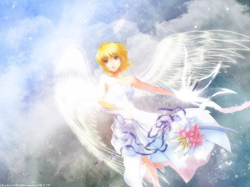 Heavens Beautiful, wings, cloud, angel, bonito, sky, cagalli, flower, heaven, gundam seed, HD wallpaper