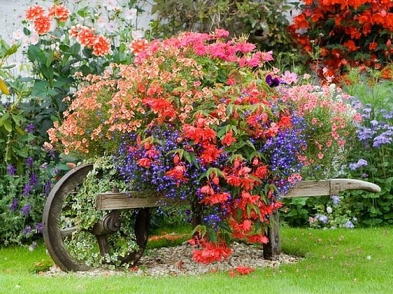 flower carriage, garden, flowers, backyard, carriage, HD wallpaper