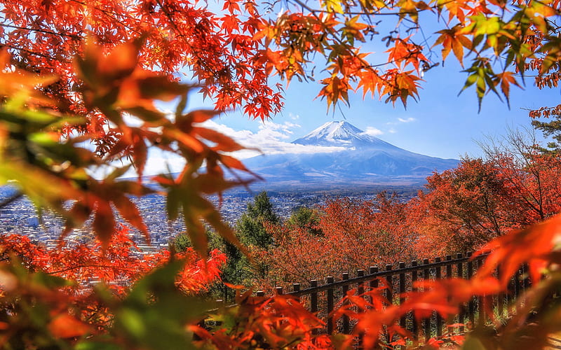 Mount Fuji, autumn, volcano, Fujisan, mountain landscape, orange maple leaves, autumn landscape, japan, HD wallpaper