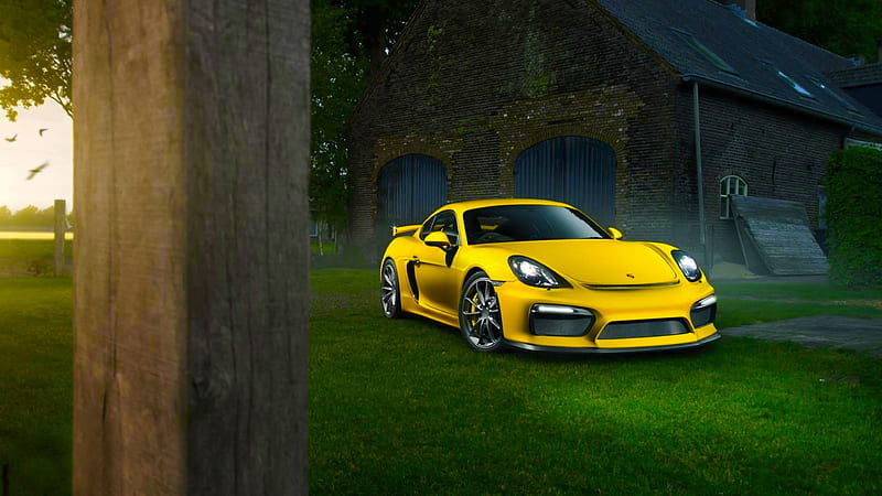 Porsche Cayman In Nature, porsche, porsche-cayman, carros, HD wallpaper