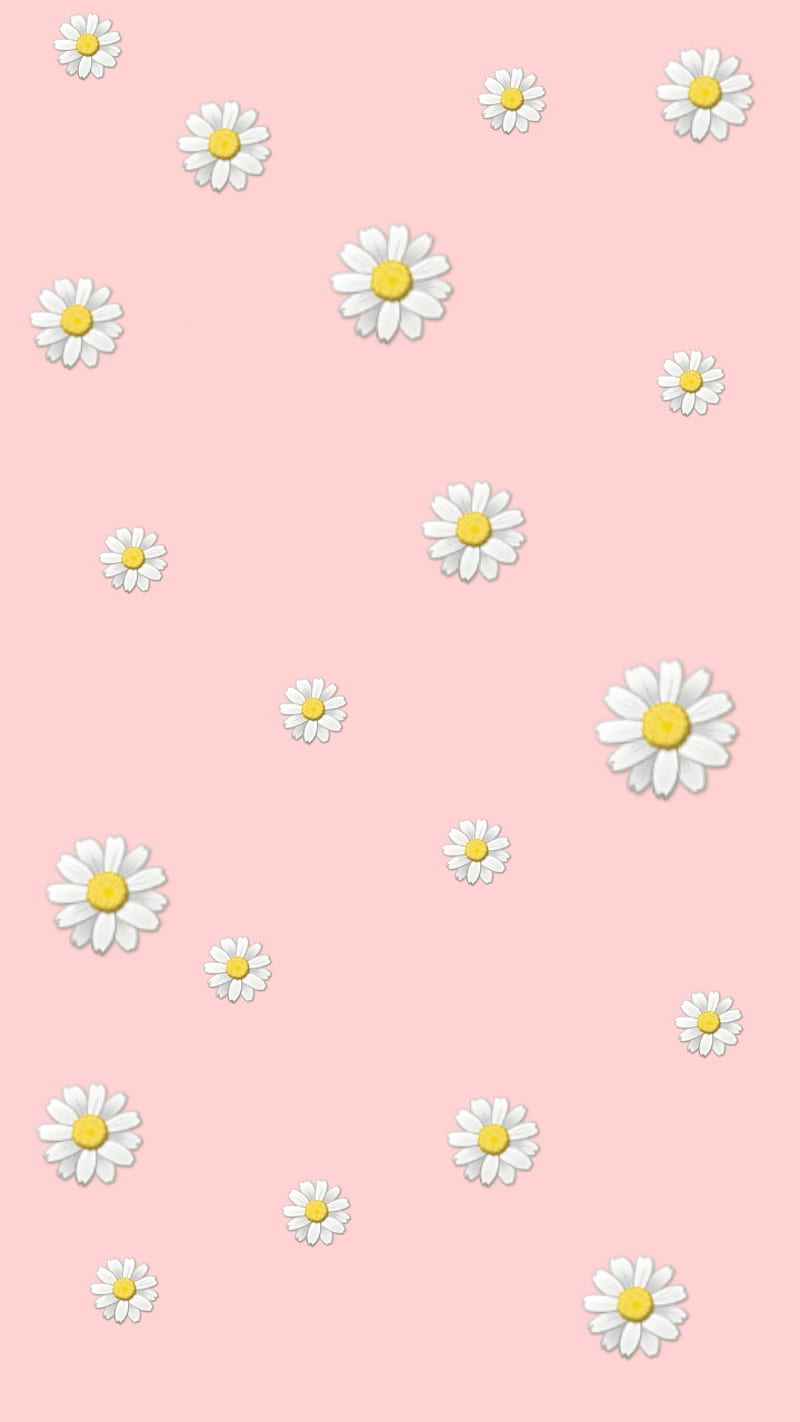 daisy, flower, pastel, pattern, pink, HD phone wallpaper
