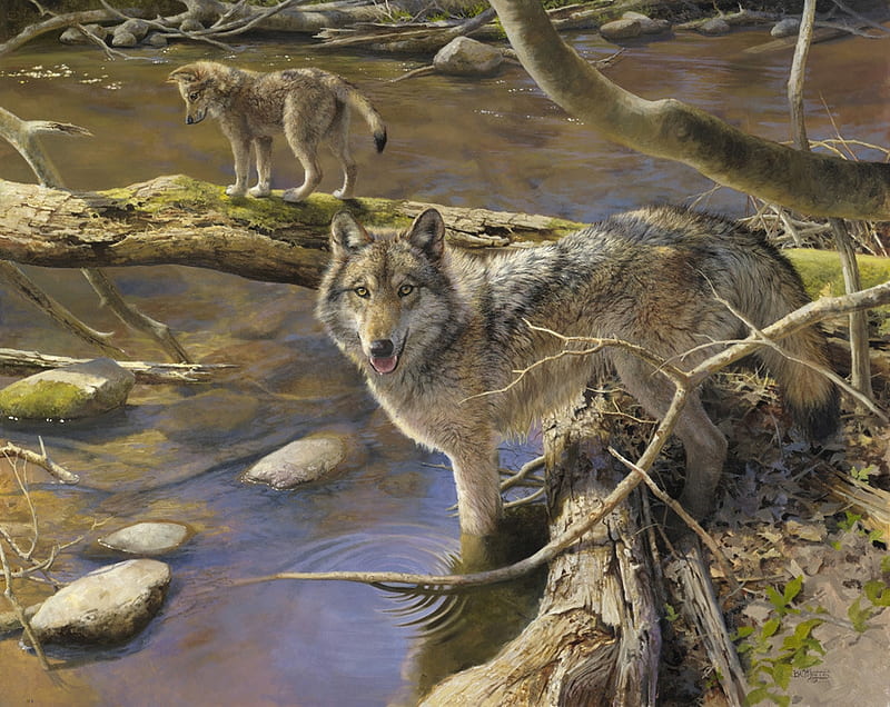 Wolves, art, animal, water, painting, summer, lup, al agnew, wolf, pictura, HD wallpaper