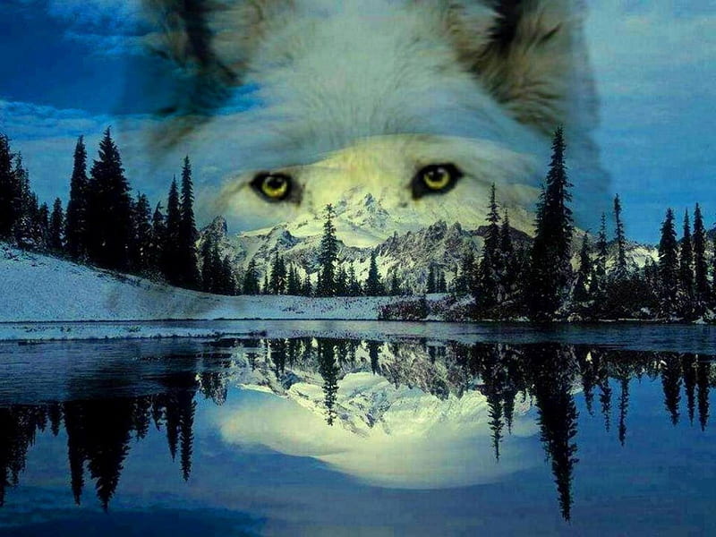 WOLF SPIRIT, Spirit, painting, nature, Wolf, animals, HD wallpaper | Peakpx