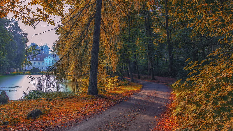 Park Road Near Lake And Building During Fall Nature, HD wallpaper