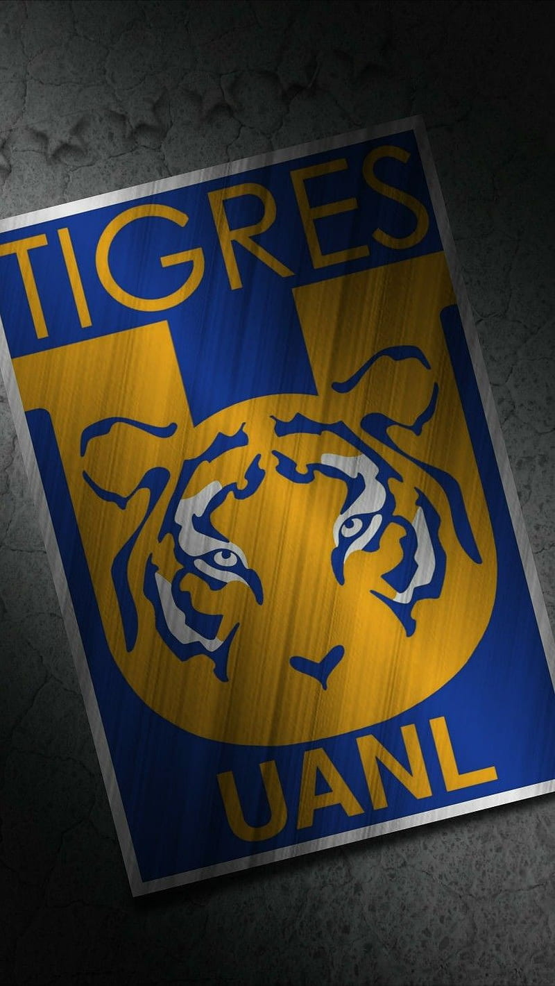 Tigres Uanl Felinos Incomparables La U De Nuevo Leon Libres Y Lokos Tigre Fondo De