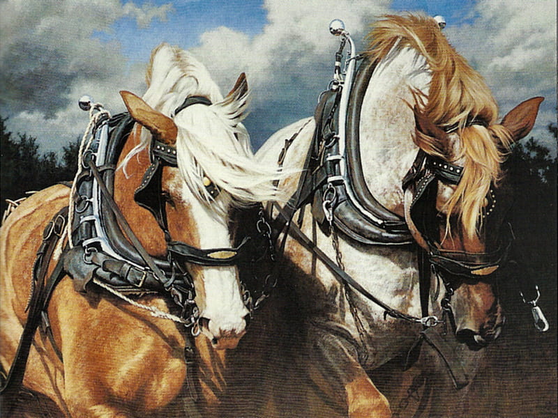 Hard at Work - Horses 5, draft, art, equine, horse, artwork, adeline halvorson, gentle giants, halvorson, painting, HD wallpaper