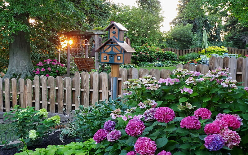 Garden Flowers, back yard, bird house, fence, sun, garden, flowers, nature, trees, Summer, HD wallpaper