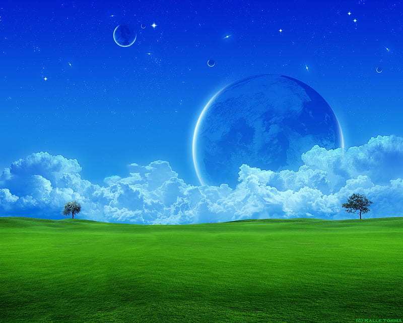 Dreaming, tree, moon, cloud, grass, grassland, HD wallpaper