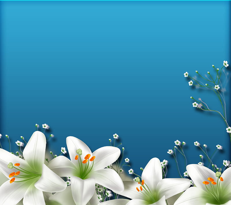 White Lillies, abstract, flowers, nature, HD wallpaper