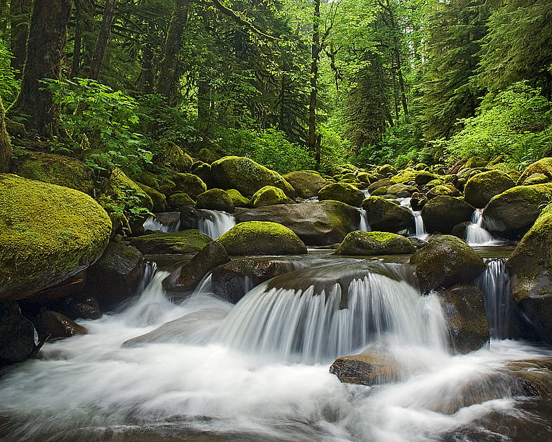 Spring Cascade, rick lundh , water, green, moss, bonito, spring, cascade, trees, HD wallpaper Spring Cascade, rick lundh , water, green, moss, bonito, spring, cascade, trees, HD wallpaper