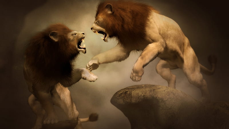 Batalla de leones, obra de arte, animal, Fondo de pantalla HD | Peakpx