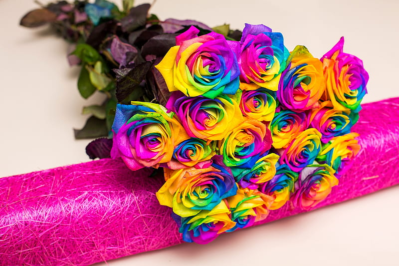 Ramo rosas colorido, ramo, flor, arco iris, rosa, trandafir, Fondo de pantalla HD | Peakpx
