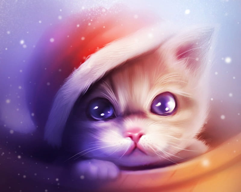 Christmas kitten red art craciun christmas cat animal hat santa  fantasy HD wallpaper  Peakpx