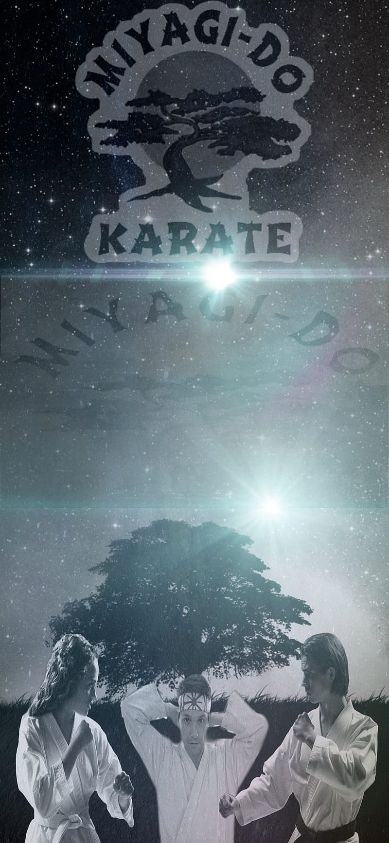 Cobra Kai Karate Miyagi Hd Mobile Wallpaper Peakpx