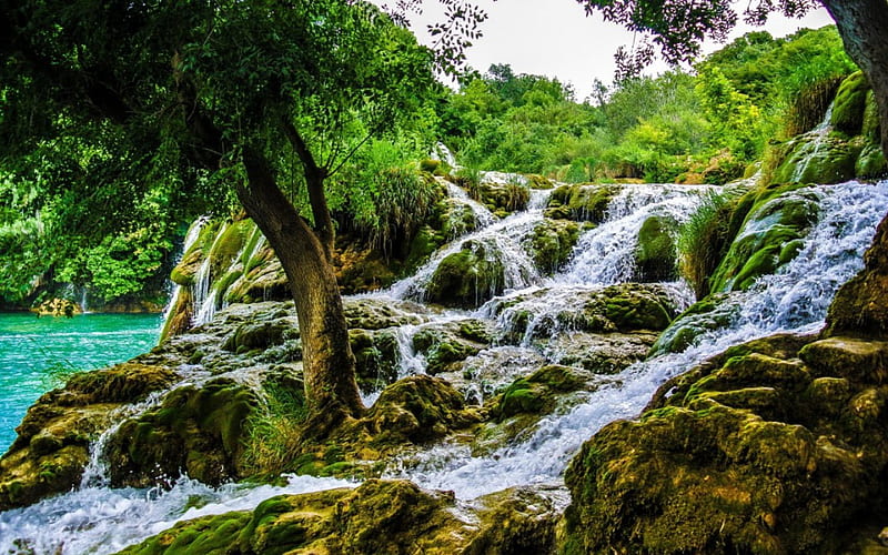 Lovely Waterfalls, Krka, Croatia, waterfall, nature, park, HD wallpaper