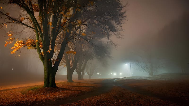 Misty autumn night with eerie street lights, branches, fog, road, bare branches, quietness, fall season, darkness, tree, orange leaves, glowing, tranquility, autumn, vintage, street lights, seasonal change, night sky, moodiness, solitude, park, shadowy, silhouette, night, foggy atmosphere, mystery, atmosphere, tranquil scene, spooky ambiance, outdoors, peacefulness, nighttime, nature graphy, landscape, leaves, calmness, spooky, visibility, ambient light, pathway, street lamp, creepy, scenic, autumnal mood, nightfall, desolation, HD wallpaper