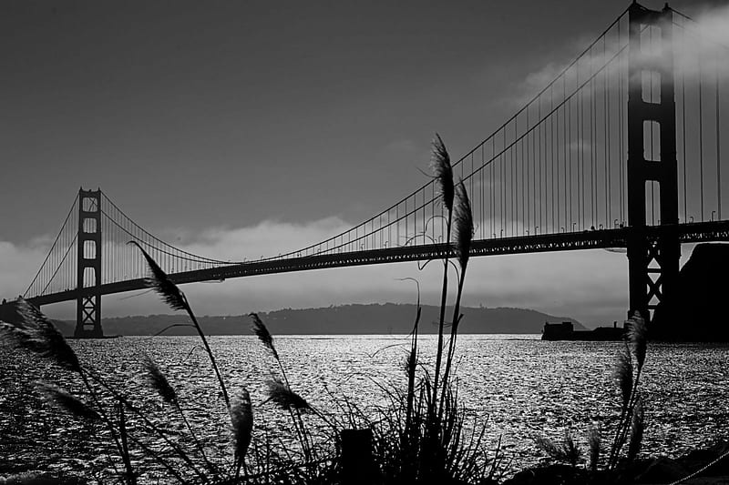 BRIDGE IN BLACK AND WHITE, architecture, new york, cool, bridges, ocean, black and white, sea, HD wallpaper