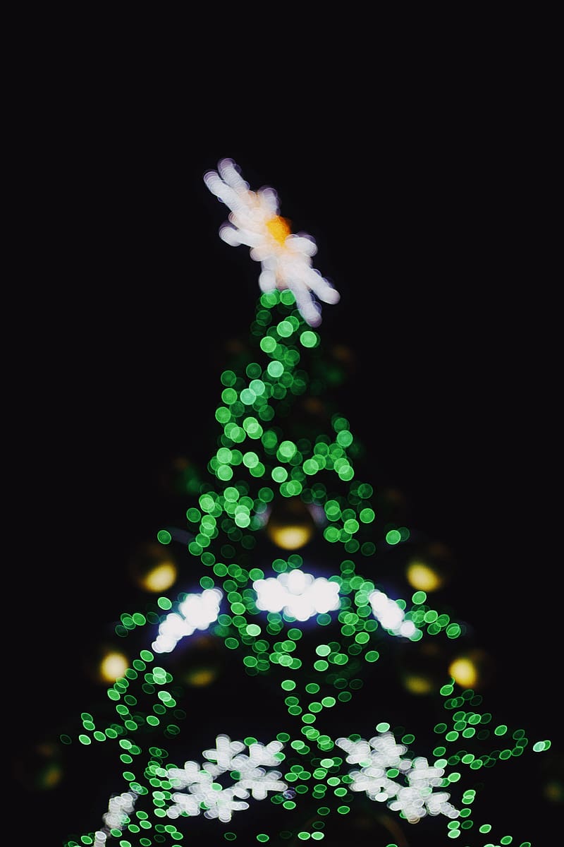 / tree christmas tree lights and green, HD phone wallpaper | Peakpx