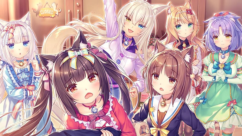 Anime - Nekopara Maple (Nekopara) HD wallpaper | Pxfuel