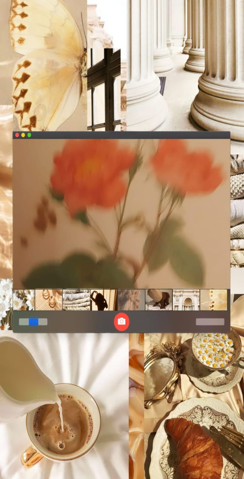 vintage , aesthetic, flowers, happy, iphone, light academia, light brown, HD phone wallpaper