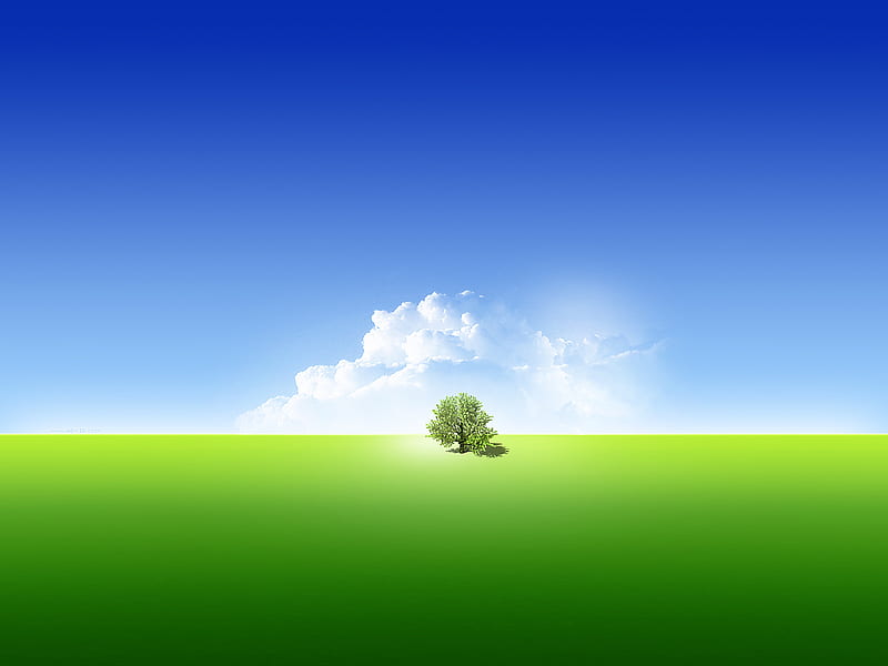 Tree of Bliss, grass, background, bliss, fog, nice, multicolor, lone tree, landscapes, bright, paisage, wood, art, brightness, smoky, sunrays, white, artistic, bonito, seasons, leaves, green, painting, fields, smoke, scenery, blue, paisagem, day, nature, branches, pc, scene, foggy, yellow, clouds, cenario, lightness, scenario, beauty, morning, paysage, cena, trees, sky, abstract, panorama, cool, awesome, hop, fullscreen, colorful, sunny, grasslands, mirror, light, amazing, multi-coloured, view, colors, spring, new day, leaf, summer, colours, natural, HD wallpaper