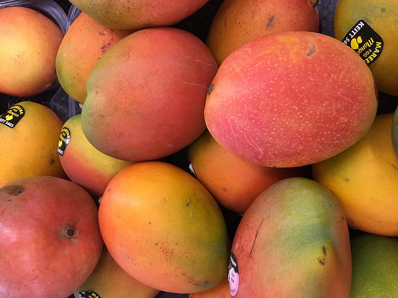 Mangoes, Fruit, Gardening, graphy, Brisbane, Coles Supermarket, Yummy, Mango, Australia, Delicious, HD wallpaper