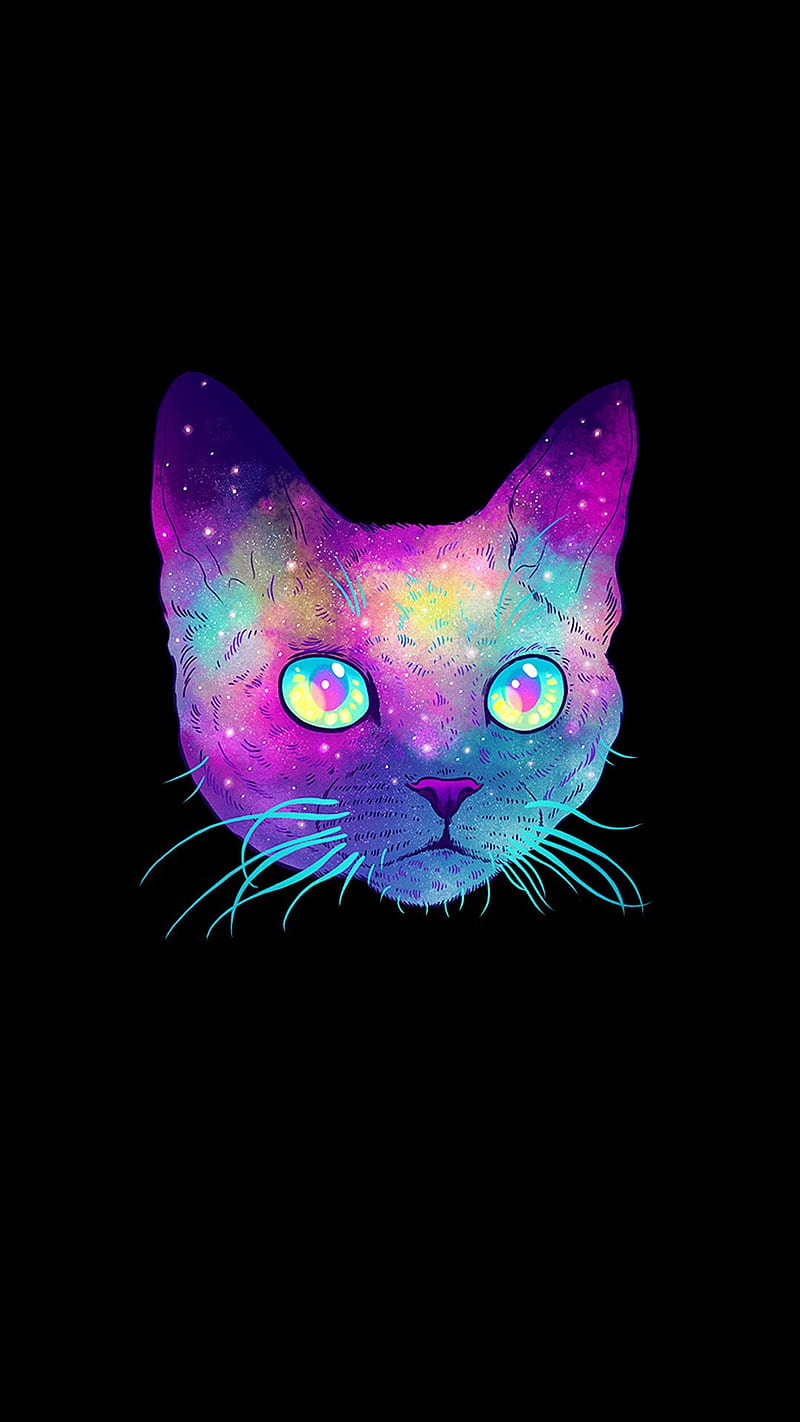 Meow, black, cat, cats, neon, psicodelia, rainbow, HD phone wallpaper