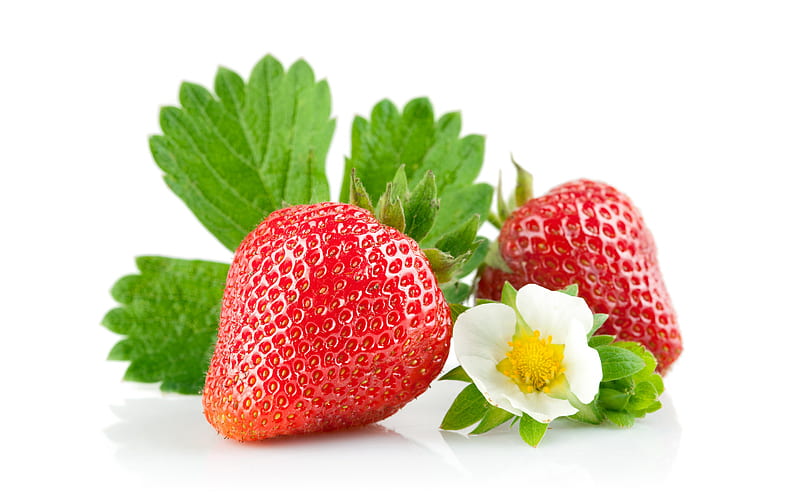 strawberry, berry, white flower, strawberry on a white background, ripe berries, HD wallpaper