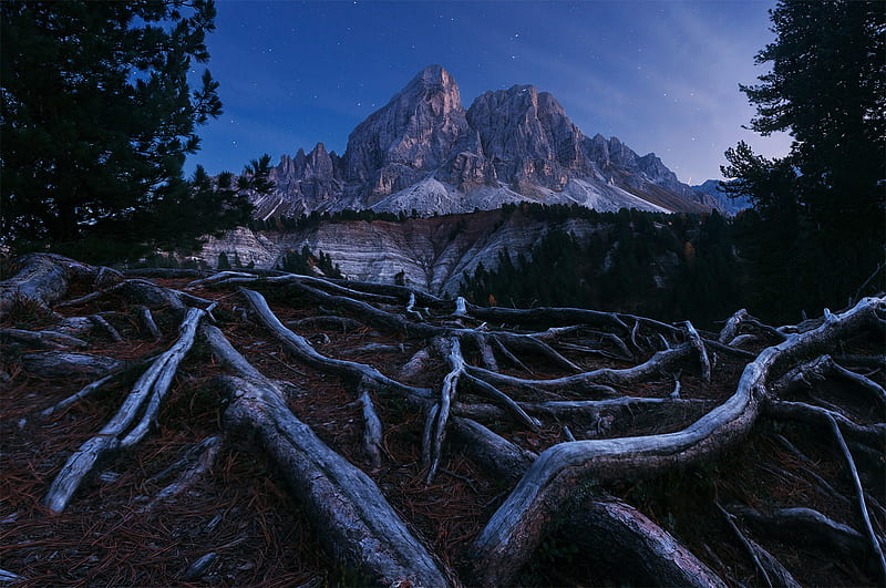 Earth, Tree Root, Forest, Mountain, Night, Roots, Starry Sky, HD wallpaper